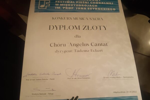 289230699_169634385519350_8586195221262751429_n