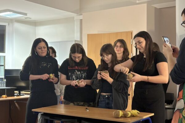 431151205_420631700485558_2714948004961834087_n